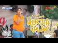 Download Lagu MERTUA GALAK - KEKET BOHAY -- BL MUSIK IN LINDUK