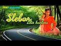 Download Lagu SLEBOR_LILIS_KARLINA_KARAOKE || @sonykaraokeofficial