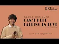 Download Lagu Danar Widianto - Can't Help Falling In Love (Elvis Presley) Lirik + Terjemahan Indonesia