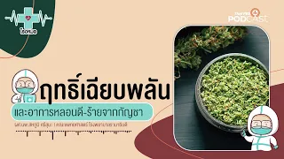 การใช้กัญชาพร้อมกับยาเสพติดอื่นจะมีผลอย่างไร