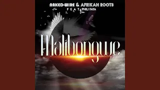 naked wire u0026 afrikan roots malibongwe feat phili faya 