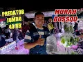 Download Lagu HARGA TERBARU IKAN ALAM PREDATOR BRACKISH TANKMATE TERMUR4H PUTRA PASAR IKAN HIAS JATINEGARA 