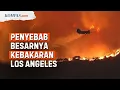 Download Lagu Kenapa Kebakaran di Los Angeles Begitu Parah?