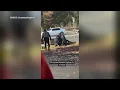 shows North Carolina officer repeatedly striking a pinned woman during her arrest