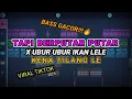 Download Lagu DJ TAPI BERPUTAR PUTAR X UBUR UBUR IKAN LELE KENA TILANG LE !! -(Prengky Gantay Remix) VIRAL TIKTOK