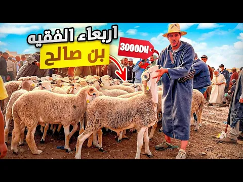 Download MP3 اليوم من سوق الفقية بن صالح اقليم بني ملال 🇲🇦مع أثمنة حولي عيد الأضحى 🐑 05/06/2024 (أرخص سوق)‼️ 🤑