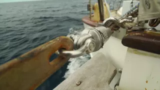 Prism Reviews: Mantus Anchor Swivel