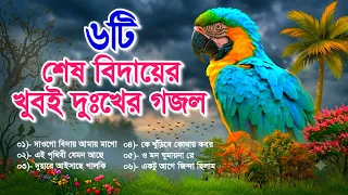 শেষ বিদায়ের খুবই দুঃখের কান্না আনার ৬টি গজল | Very Heart Touching Album Gojol | Bangla Gojol | গজল