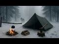Lagu Ontmoet de wolf in het kamp - de wilde wolf kwam naar een tent - winterkamp - sneeuwkamp
