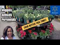Walmart has Amazing Flowers Garden Supplies at Unbeatable Prices