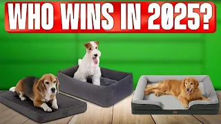 TOP 5 Best Dog Beds 2025