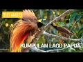 Lagu Trio Ambisi | Tembang Papua