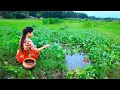 Download Lagu Fishing Video || The Beautiful Girl Caught a Strong Fish from the Village Field || Hook Fishing
