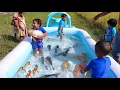 Download Lagu Sneyha, Arbin \u0026 Javan Fun Playing With Real Fish in Inflatable Swimming pool - Cute Sneyha's Show