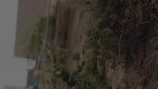 اغنية بحبك يا مهذب  سيرين عبد النور دندنها