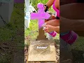 Download Lagu Cleaning a Tiny Baby Grave