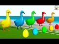 Download Lagu Learn Colors with Duck lay Eggs Colors Cartoon for Kids