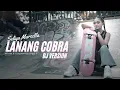 Download Lagu LANANG COBRA DJ || SELIYA MARSELLA ( Official Music Video )