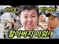 Download Lagu 할아버지에게 혼나서 서러움 폭발했어요 / 비오는날 부산 여행코스 추천 / 갓난 아기가 귀여운 아기 노랑이/ 왕할머니와 인사한 솜이와 랑이