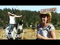 Download Lagu Arrows Fired From A Galloping Horse | MythBusters | Season 5 Episode 14 | Full Episode