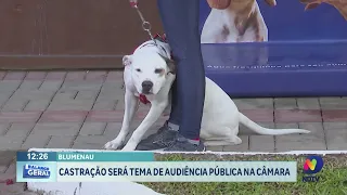 Castração será tema de audiência pública em junho na câmara