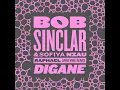 Digane (Raphael Afro Vibe Remix)
