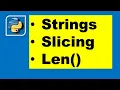 String Slicing And Other Functions In Python In Urdu and Hindi