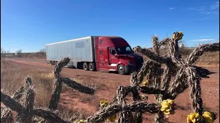 Freightliner Cascada 126 - wady i zalety takiego trucka