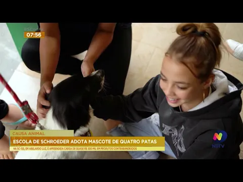Escola do município de Schroeder adota cão como mascote oficial