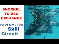 Download Lagu PADI Snorkel To Regulator Exchange IDC Divemaster Skill Circuit
