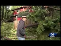 Tall trees crash into Boulder Creek homes