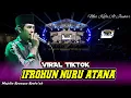 VIRAL TIKTOK !! IFROHUN NURU ATANA (MAS KAFA AL JAUHAR ) Majelis Syauqus Syafaah 