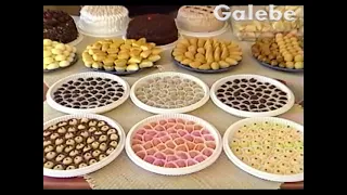 DE SALFINOS ANDREIA GALEBE 03 06 2002