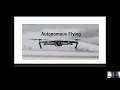 Drones Autonomous Collision Avoidance using AI Reinforcement Learning
