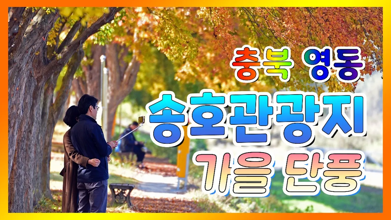 단풍이 아름다운 영동 송호관광지 サムネイル