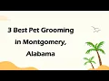 3 Best Pet Grooming in Montgomery Alabama Pet Salons