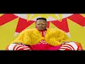 Beach House Zebra [OFFICIAL VIDEO]