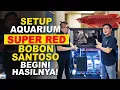 Lagu TERPASANG! SETUP AKUARIUM ARWANA SUPER RED @BobonSantoso  PART 2