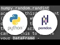 How to create a DataFrame of random integers with Pandas