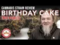 Birt ay Cake Strain Review - Hydrotic Brand