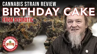 Birt ay Cake Strain Review - Hydrotic Brand