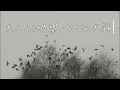 [VIETSUB LYRICS] 大人的快樂 - 大穎 | NIỀM VUI CỦA NGƯỜI TRƯỞNG THÀNH - DIOR