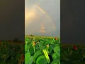 Download Lagu Beautiful #cambodia🇰🇭 #tiktok #fyp