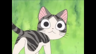 chi sweet home chi and cocchi meet full episode 