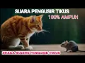 Download Lagu SUARA KUCING PENGUSIR TIKUS buktikan sendiri pasti kabur