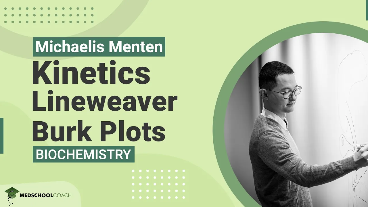 Lineweaver Burk Plots