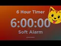 6 Hour Timer with Soft Alarm Sound for Sleep and Relaxation