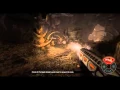 Evolve Tutorial s - Caira