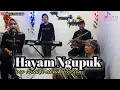 Download Lagu Hayam Ngupuk \