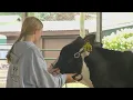 Saratoga County Fair opens with a look at the future of farming